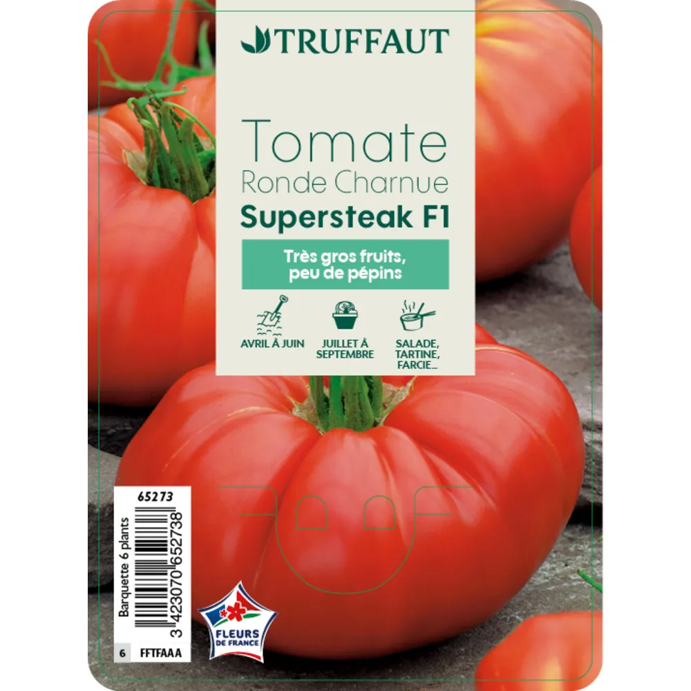 Plants de tomates 'Supersteak' F1 : barquette de 6 plants
