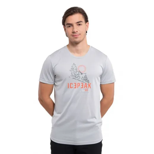 T-shirt bearden gris